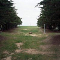 http://www.mathildemestrallet.com/files/gimgs/th-16_SO-21.jpg