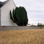 http://www.mathildemestrallet.com/files/gimgs/th-20_05SB-001-copie.jpg