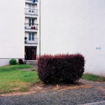 http://www.mathildemestrallet.com/files/gimgs/th-20_08SB-049-copie.jpg