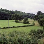http://www.mathildemestrallet.com/files/gimgs/th-20_108SB-043-copie.jpg