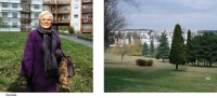 http://www.mathildemestrallet.com/files/gimgs/th-51_12_v3.jpg