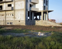http://www.mathildemestrallet.com/files/gimgs/th-59_07-romania.jpg