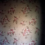 http://www.mathildemestrallet.com/files/gimgs/th-5_06_v2.jpg