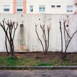http://www.mathildemestrallet.com/files/gimgs/th-6_05_v3.jpg