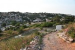 http://www.mathildemestrallet.com/files/gimgs/th-79_13-IMG_2717.jpg