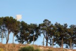 http://www.mathildemestrallet.com/files/gimgs/th-79_15-IMG_2712.jpg