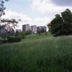 http://www.mathildemestrallet.com/files/gimgs/th-7_misk-176.jpg