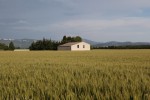 http://www.mathildemestrallet.com/files/gimgs/th-88_03-IMG_9633.jpg