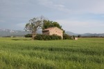 http://www.mathildemestrallet.com/files/gimgs/th-88_05-IMG_9646.jpg